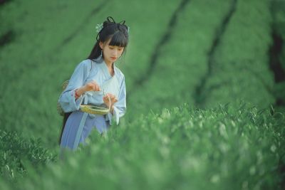 【重庆•天火】采茶记