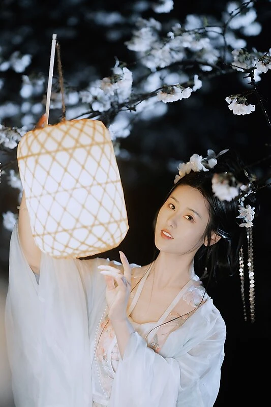 夜雨赏樱